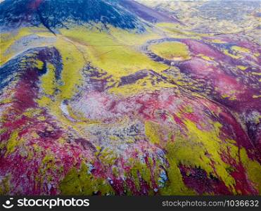 Volcanic landscape covered with moss