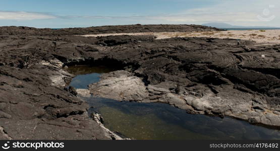 Volcanic landscape, Punta Espinoza, Fernandina Island, Galapagos Islands, Ecuador