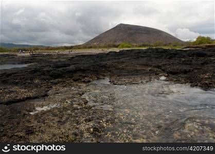 Volcanic rocks on the coast, Puerto Egas, Santiago Island, Galapagos Islands, Ecuador