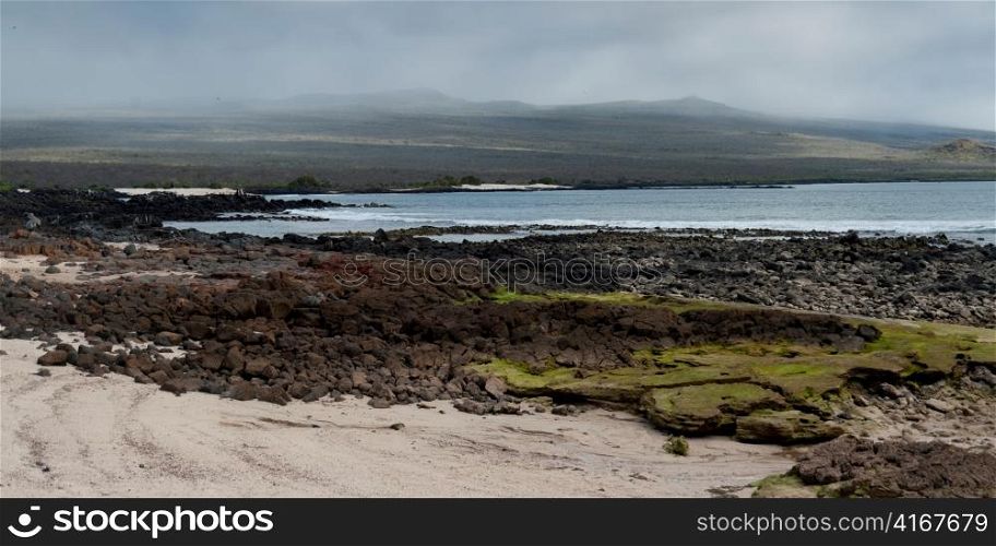 Volcanic rocks on the coast, San Cristobal Island, Galapagos Islands, Ecuador