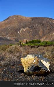 volcanic timanfaya rock stone sky hill and summer in los volcanes lanzarote spain plant flower bush