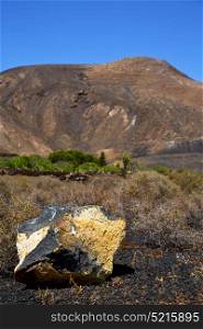 volcanic timanfaya rock stone sky hill and summer in los volcanes lanzarote spain plant flower bush