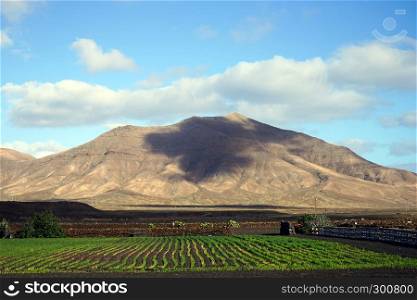 Volcano and fields on the Lancerote island, Canary, Spain