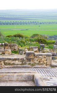 volubilis in morocco africa the old roman deteriorated monument and site