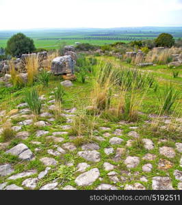 volubilis in morocco africa the old roman deteriorated monument and site