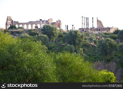 volubilis in morocco africa the old roman deteriorated monument and site