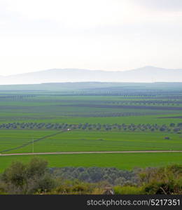 volubilis in morocco africa the old roman deteriorated monument and site