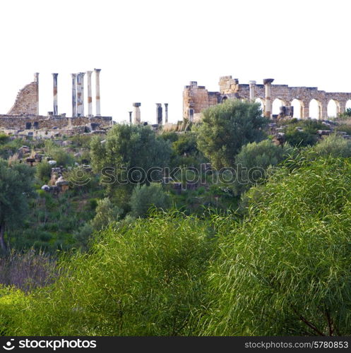 volubilis in morocco africa the old roman deteriorated monument and site