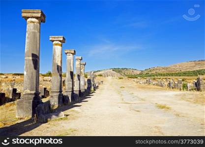Volubilis - Roman basilica ruins in Morocco, North Africa