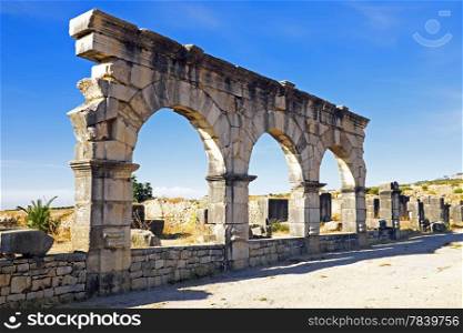 Volubilis - Roman basilica ruins in Morocco, North Africa