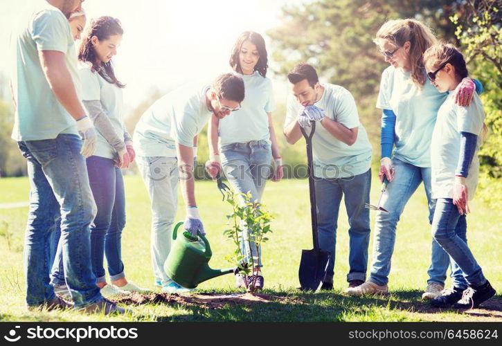 volunteering, charity, people and ecology concept - group of happy volunteers planting and watering tree with can in park. group of volunteers planting and watering tree