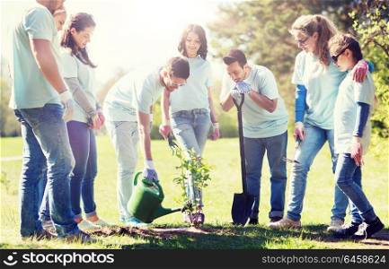 volunteering, charity, people and ecology concept - group of happy volunteers planting and watering tree with can in park. group of volunteers planting and watering tree