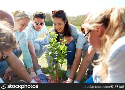 volunteering, charity, people and ecology concept - group of happy volunteers planting tree in park. group of volunteers planting tree in park