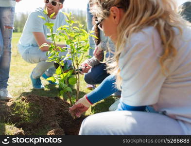 volunteering, charity, people and ecology concept - group of happy volunteers planting tree in park. group of volunteers planting tree in park