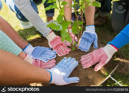 volunteering, charity, people and ecology concept - group of volunteers hands planting tree seedling in park. group of volunteers hands planting tree in park