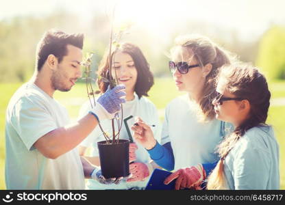 volunteering, charity, people and ecology concept - group of volunteers with clipboard planting trees in park. group of volunteers planting trees in park