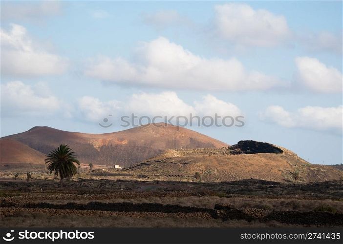 vulcanic landscape in the Timanfaya National Park on Lanzarote, Canary Islands, Spain