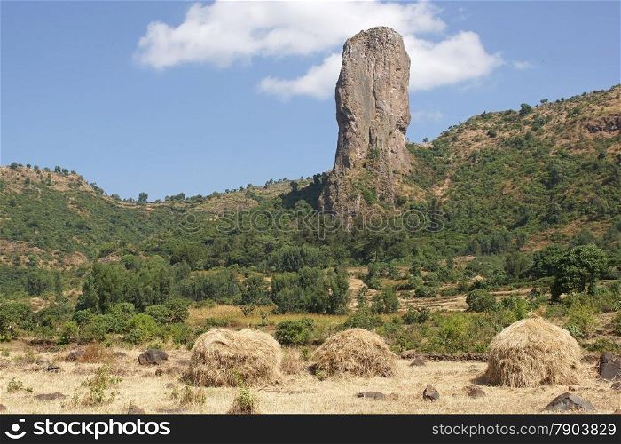 Vultures rock close to Gondar, Ethiopia, Africa
