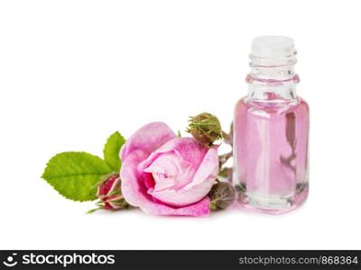 Vvial with rose essential oil and pink rose flower isolated on a white background