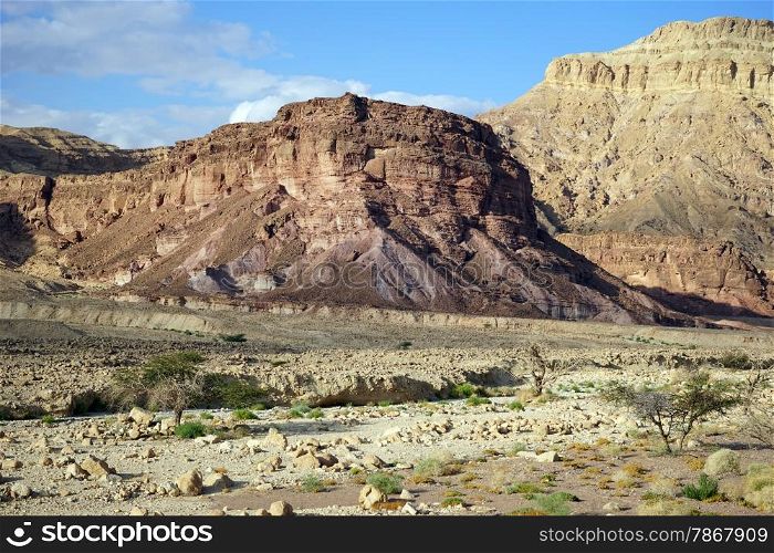 Wadi and mountain in Negev desert in Israel
