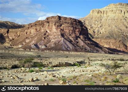 Wadi and mountain in Negev desert in Israel