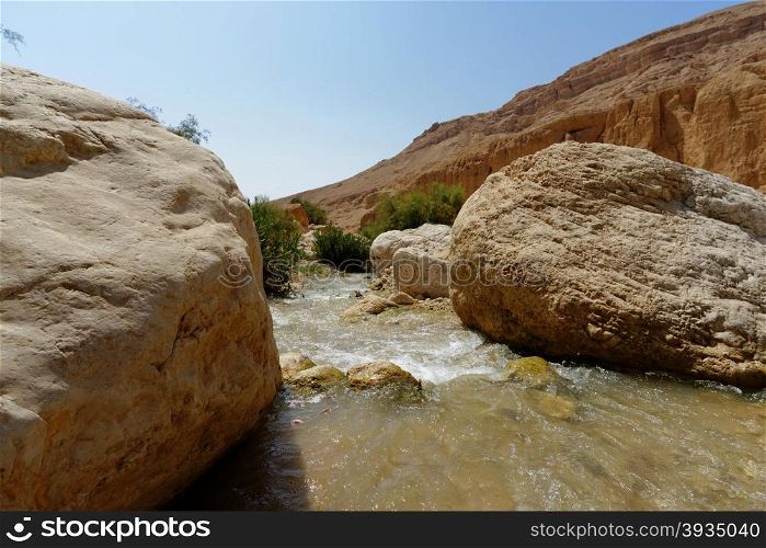 Wadi bin Hammad creek in desert in Jordan