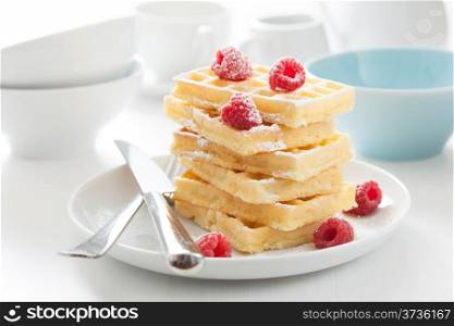 waffle with raspberry and icing sugar