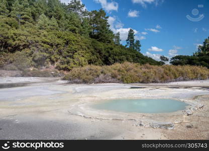 Wai-O-Tapu National Park, New Zealand.