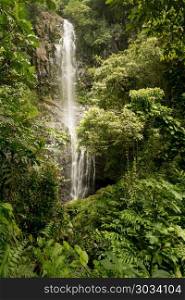 Wailua Falls on the road to Hana in Maui. Cascade of Wailua Falls between green jungle plants on the road to Hana in Maui, Hawaii. Wailua Falls on the road to Hana in Maui