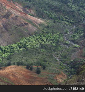 Waimea Canyon - Kauai, Hawaii