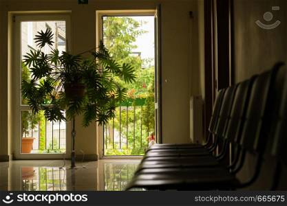 Waiting room with many seats, shiny floor and big flower in pot against window.. Waiting room with flower