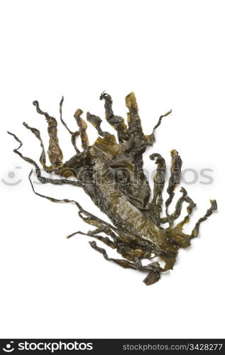 Wakame seaweed on white background