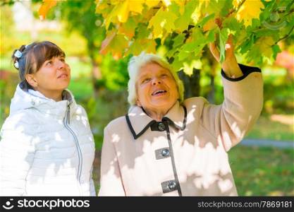 Walk girl with her grandmother in the park in autumn