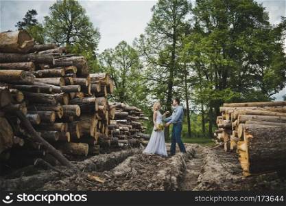 Walk in a tree felling.. Avenue among logs for the house 3224.