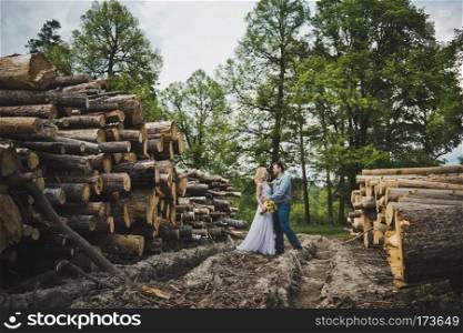Walk in a tree felling.. Avenue among logs for the house 3225.