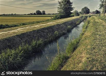 Walking among trees and plants along a water channel in Italian countryside