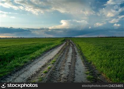 Walking on a dirt road through green fields, Czulczyce, Poland