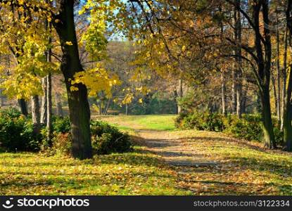 Walking path through park in early autumn morning with fall color leaves