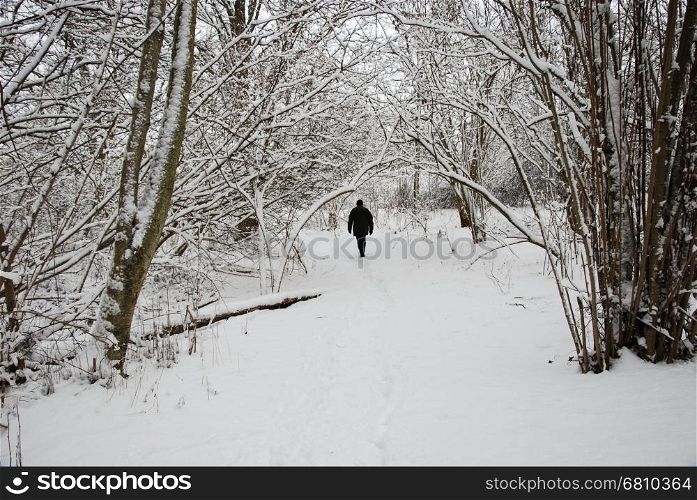 Walking person on a footpath in a forest with snow all over