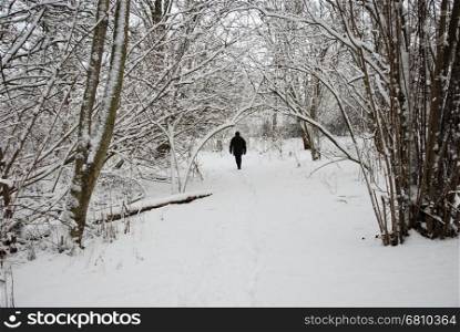 Walking person on a footpath in a forest with snow all over