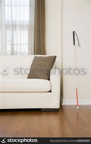 Walking stick in a living room