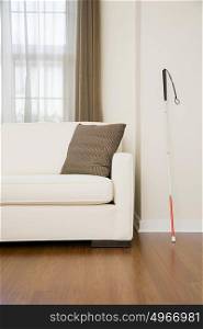 Walking stick in a living room