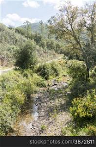 walking trail near small ditch river in the high algarve