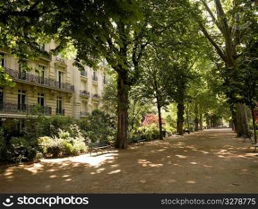 Walkway between trees in Paris France