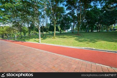 Walkway for exercise with beautiful green garden .