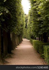 Walkway in a park in Paris France