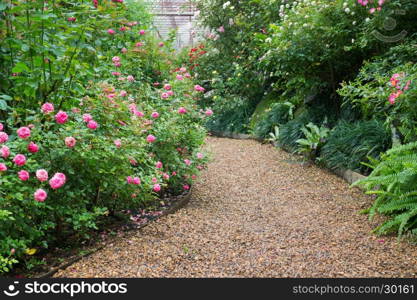 Walkway in botanic rose garden, stock photo