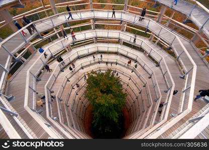 walkway in top of tree in Germany Prora. walkway in top of tree