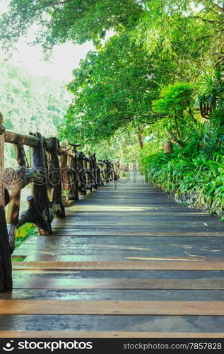 walkway of wooden planks through the forest