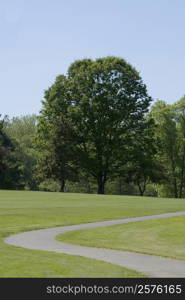 Walkway running through a golf course